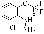 [2-(Trifluoromethoxy)phenyl]hydrazine hydrochloride molecular structure (CAS 133115-76-1)