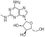 2-(Methylamino)adenosine molecular structure (CAS 13364-95-9)