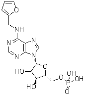 N-(2-呋喃基甲基)-5'-腺苷酸分子结构 (CAS 13484-67-8)