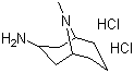 Endo-3-amine-9-methyl-9-azabicyclo[3,3,1]nonane dihydrochloride molecular structure (CAS 135906-03-5)