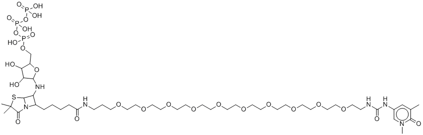 Biotin-16-dUTP molecular structure (CAS 136632-31-0)