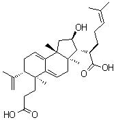 Poricoic acid B molecular structure (CAS 137551-39-4)