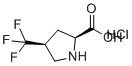 (2S,4S)-4-(Trifluoromethyl)pyrrolidine-2-carboxylic acid hydrochloride molecular structure (CAS 1384424-55-8)