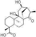 (4alpha,12beta)-9,12-Dihydroxy-15-oxokauran-18-oic acid molecular structure (CAS 1401419-89-3)