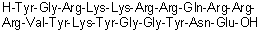 L-tyrosylglycyl-L-arginyl-L-lysyl-L-lysyl-L-arginyl-L-arginyl-L-glutaminyl-L-arginyl-L-arginyl-L-arginyl-L-valyl-L-tyrosyl-L-lysyl-L-tyrosylglycylglycyl-L-tyrosyl-L-asparaginyl-L-Glutamic acid molecular structure (CAS 1404188-94-8)