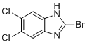 2-bromo-5,6-dichloro-1H-benzimidazole molecular structure (CAS 142356-40-9)