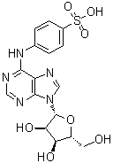 结构式 CAS# 143668-15-9, 4-[(9-beta-D-呋喃核糖基-9H-嘌呤-6-基)氨基]苯磺酸