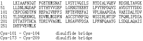 Dornase alfa molecular structure (CAS 143831-71-4)