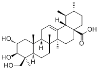 2,24-Dihydroxyursolic acid molecular structure (CAS 143839-02-5)