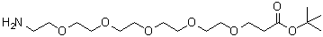 18-Amino-4,7,10,13,16-pentaoxaoctadecanoic acid 1,1-dimethylethyl ester molecular structure (CAS 1446282-18-3)