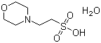 MES monohydrate molecular structure (CAS 145224-94-8)