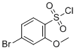 4-Bromo-2-methoxybenzene-1-sulfonyl chloride molecular structure (CAS 145915-29-3)