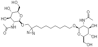 8-[3-[[[2-(Acetylamino)-2-deoxy-beta-D-glucopyranosyl]oxy]methyl]-3H-diazirin-3-yl]octyl 2-(acetylamino)-2-deoxy-beta-D-glucopyranoside molecular structure (CAS 146294-05-5)