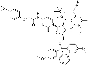 结构式 CAS# 149989-66-2, 5'-O-(4,4-二甲氧基三苯甲基)-2'-O-[(叔丁基)二甲基硅基]-N-[[4-(叔丁基)苯氧基]乙酰基]胞苷-3'-(2-氰基乙基-N,N-二异丙基)亚磷酰胺