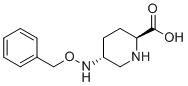 trans-5-((Benzyloxy)amino)piperidine-2-carboxylicacid molecular structure (CAS 1501980-29-5)