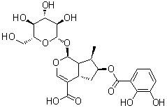 (1S,4aS,6S,7R,7aS)-6-[(2,3-Dihydroxybenzoyl)oxy]-1-(beta-D-glucopyranosyloxy)-1,4a,5,6,7,7a-hexahydro-7-methylcyclopenta[c]pyran-4-carboxylic acid molecular structure (CAS 157722-21-9)