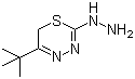 5-tert-Butyl-2-hydrazino-6H-1,3,4-thiadizine molecular structure (CAS 158035-17-7)