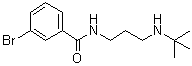 3-Bromo-N-[3-[(1,1-dimethylethyl)amino]propyl]benzamide molecular structure (CAS 1648707-58-7)