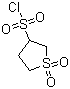 四氢-3-噻吩磺酰氯 1,1-二氧化物分子结构 (CAS 17115-47-8)