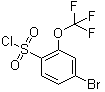 structure of CAS# 175278-14-5, 4-Bromo-2-trifluoromethoxyphenylsulfonyl chloride;2-Trifluoromethoxy-4-bromobenzenesulfonyl chloride; 4-Bromo-2-(trifluoromethoxy)benzene-1-sulfonyl chloride; 4-Bromo-2-trifluoromethoxybenzenesulfonyl chloride