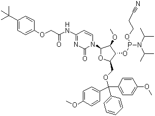 5'-O-(4,4-Dimethoxytrityl)-N-[[4-(tert-butyl)phenoxy]acetyl]-2'-O-methylcytidine-3'-(2-cyanoethyl-N,N-diisopropyl)phosphoramidite molecular structure (CAS 179486-26-1)