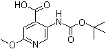 5-(叔丁氧羰基氨基)-2-甲氧基吡啶-4-羧酸分子结构 (CAS 183741-86-8)