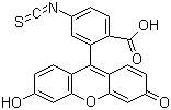 Fluorescein 6-isothiocyanate molecular structure (CAS 18861-78-4)