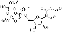 structure of CAS# 19817-92-6, Uridine-5'-triphosphoric acid trisodium salt;UTP.Na3
