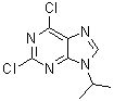 2,6-Dichloro-9-isopropyl-9H-purine molecular structure (CAS 203436-45-7)