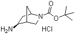 (1R,4R,5R)-rel-5-Amino-2-azabicyclo[2.2.1]heptane-2-carboxylic acid tert-butyl ester hydrochloride molecular structure (CAS 207405-66-1)