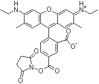 5-Carboxyrhodamine 6G succinimidyl ester molecular structure (CAS 209112-21-0)