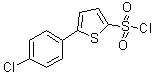 5-(4-氯苯基)-2-噻吩磺酰氯分子结构 (CAS 209592-43-8)