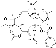 Jatrophane 6 molecular structure (CAS 210108-90-0)