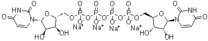 Diquafosol tetrasodium molecular structure (CAS 211427-08-6)