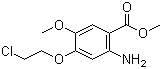 2-Amino-4-(2-chloroethoxy)-5-methoxybenzoic acid methyl ester molecular structure (CAS 214470-60-7)