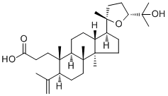 Shoreic acid molecular structure (CAS 21671-00-1)