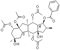 (1S,2S,3aR,4R,4aS,4bS,6R,8S,8aS,9aR,10R,10aR)-十二氢-2,4a,6,9a-四甲基环戊二烯并[b]芴-1,3a,4,6,8,8a,10(1H,4H)-七醇 4,8,8a,10-四乙酸酯 1-苯甲酸酯分子结构 (CAS 219916-77-5)