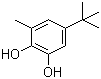 5-叔丁基-3-甲基-1,2-苯二酚分子结构 (CAS 2213-66-3)