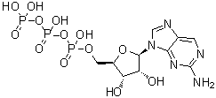 9-(beta-D-呋喃核糖基)-2-氨基嘌呤 5'-三磷酸酯分子结构 (CAS 23001-60-7)