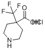structure of CAS# 2307773-48-2, 4-(Trifluoromethyl)piperidine-4-carboxylic acid hydrochloride