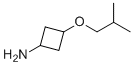 (1r,3r)-3-(2-甲基丙氧基)环丁-1-胺分子结构 (CAS 2325898-97-1)