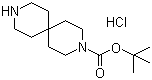 3,9-二氮杂螺[5.5]十一烷-3-羧酸叔丁基酯盐酸盐分子结构 (CAS 236406-47-6)