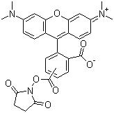 5(6)-羧基四甲基罗丹明琥珀酰亚胺酯分子结构 (CAS 246256-50-8)
