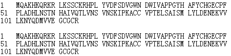 Bone morphogenetic protein 2 (synthetic human rhBMP-2) molecular structure (CAS 246539-15-1)