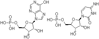 structure of CAS# 24939-03-5, Polyinosinic acid-polycytidylic acid;Polyinosinic:polycytidylic acid copolymer