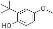structure of CAS# 25013-16-5, Butylated hydroxyanisole;3(2)-tert-Butyl-4-hydroxyanisole; 2(3)-tert-Butyl-4-methoxyphenol; BHA