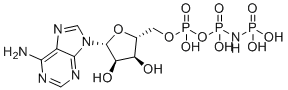 Phosphoaminophosphonic acid-adenylate ester molecular structure (CAS 25612-73-1)
