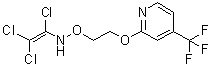 1,2,2-Trichloro-N-[2-[[4-(trifluoromethyl)-2-pyridinyl]oxy]ethoxy]ethenamine molecular structure (CAS 257284-78-9)