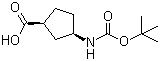 (1R,3S)-N-Boc-1-Aminocyclopentane-3-carboxylic acid molecular structure (CAS 261165-05-3)