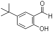 5-tert-Butyl-2-hydroxybenzaldehyde molecular structure (CAS 2725-53-3)
